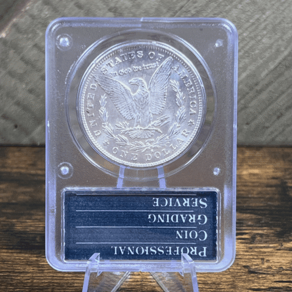 1879 S Morgan Dollar Silver Coin MS 63 PCGS Rattler 8300 Reverse