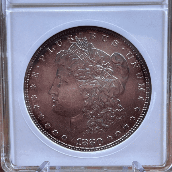 1880 Morgan Dollar Silver Coin AU 55 ANACS Soapbox VAM-9 1269 Obverse
