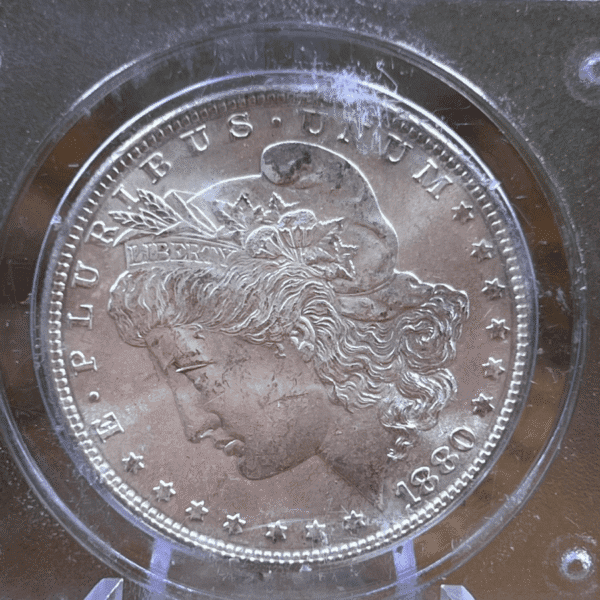 1880 S Morgan Dollar Silver Coin MS 64 PCGS Rattler 7800 Obverse