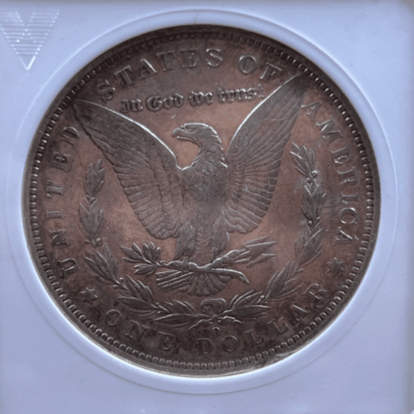 1882 O/S Morgan Dollar Silver Coin AU 50 ANACS Soapbox VAM-4 3247 Reverse