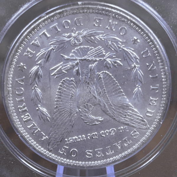 1883 O Morgan Dollar Silver Coin MS 63 PCGS Rattler Reverse