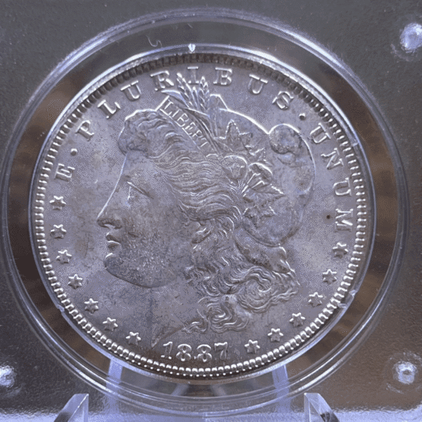 1887 Morgan Dollar Silver Coin MS 63 PCGS Rattler Obverse