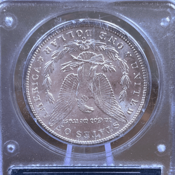 1899 O Morgan Dollar Silver Coin MS 63 PCGS Rattler Reverse