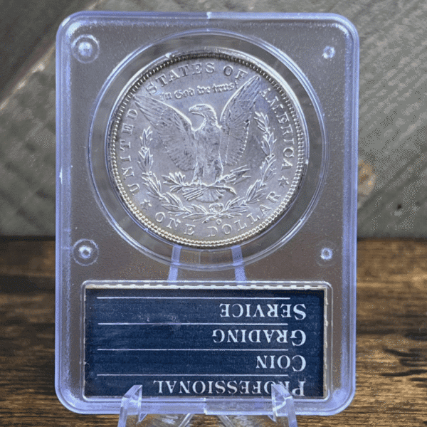 1902 O Morgan Dollar Silver Coin MS 62 PCGS Rattler Reverse