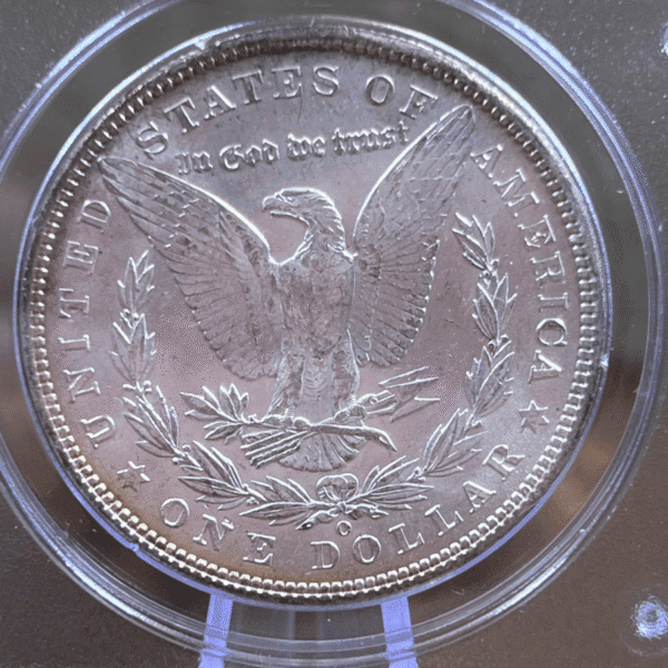 1902 O Morgan Dollar Silver Coin MS 62 PCGS Rattler Reverse