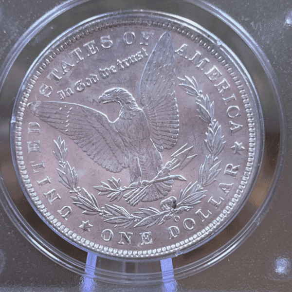 1904 O Morgan Dollar Silver Coin MS 63 PCGS Rattler Reverse