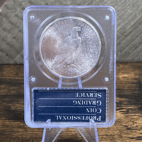 1924 Peace Dollar Silver Coin MS 64 PCGS Rattler Reverse