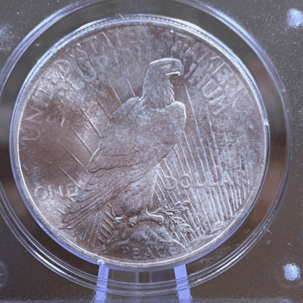 1924 Peace Dollar Silver Coin MS 64 PCGS Rattler Reverse