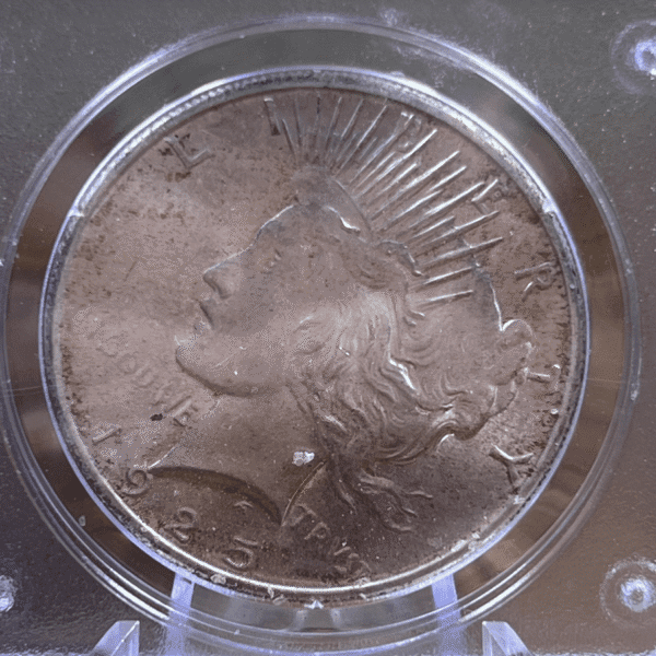 1925 Peace Dollar Silver Coin MS 63 PCGS Rattler Obverse