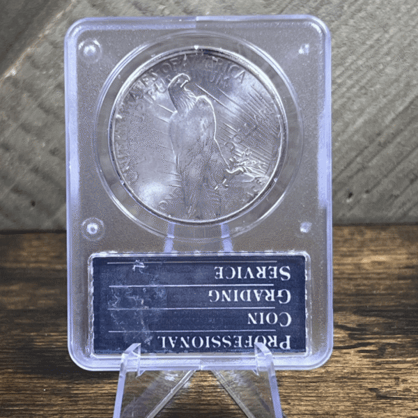 1925 Peace Dollar Silver Coin MS 63 PCGS Rattler Reverse