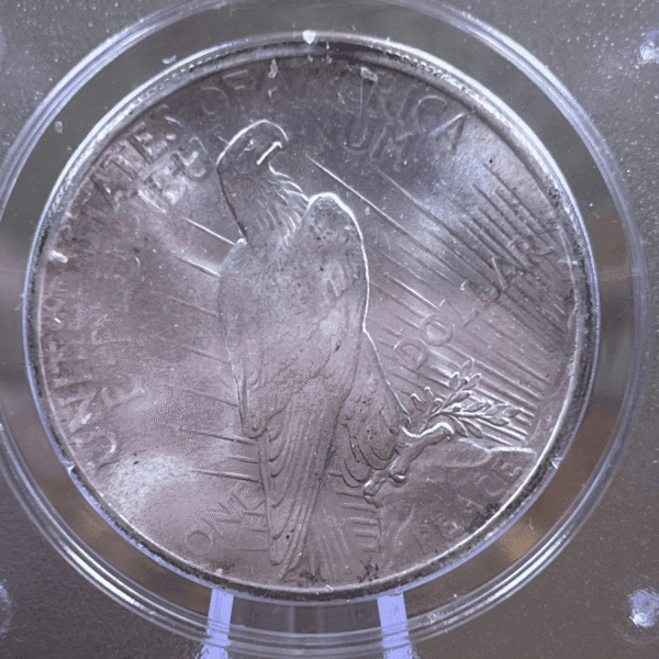1925 Peace Dollar Silver Coin MS 63 PCGS Rattler Reverse